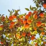 The Best Spanish Road Trips: Epic Journeys Beyond the Usual Suspects