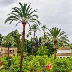 Toledo in One Day: A Perfect Itinerary for Spain’s Imperial City