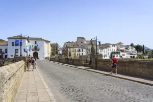 Sip &amp; Savor: A Guide to Wineries and Wine Tasting in Ribera del Duero