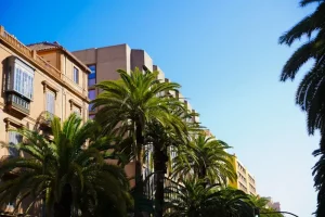Bilbao City Guide: Art, Gastronomy, and Basque Culture Beyond the Guggenheim