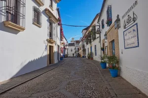 Can You Work Remotely from Spain Legally Without a Specific Visa?