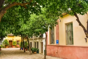 Celebrating San Juan in Spain: Your June 2026 Guide to Midsummer Festivities