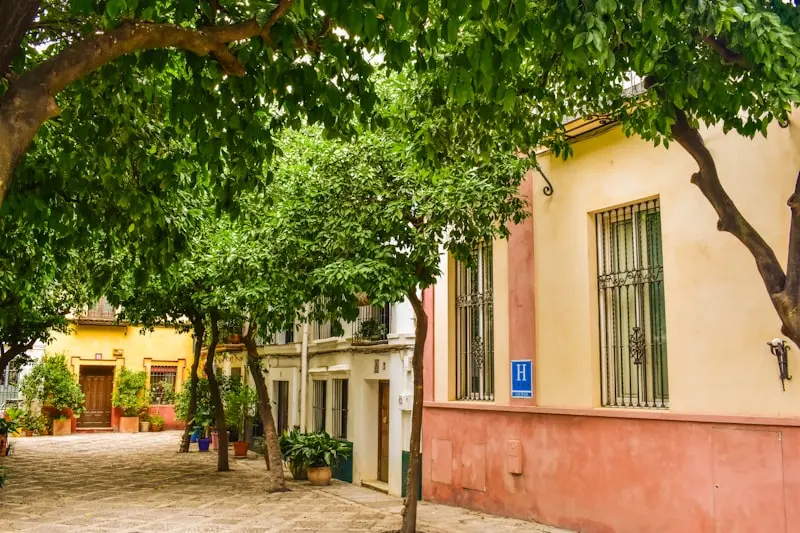 Celebrating San Juan in Spain: Your June 2026 Guide to Midsummer Festivities