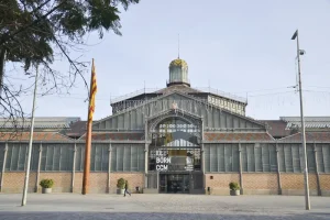 What to Expect at Spain Immigration: Passport Control Tips for a Smooth Entry