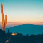 Comparing Spain’s Digital Nomad Visa to Other European Options