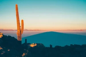 Comparing Spain’s Digital Nomad Visa to Other European Options