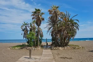Driving the Pueblos Blancos: Your Essential Guide to Andalusia’s White Villages