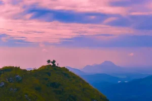Spain Remote Work Guide: Internet, Taxes, and Local SIM Cards